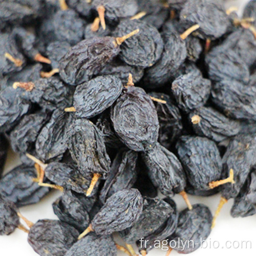 Goût doux Gainches noirs Raisins séchés Raisins sans gribouin
